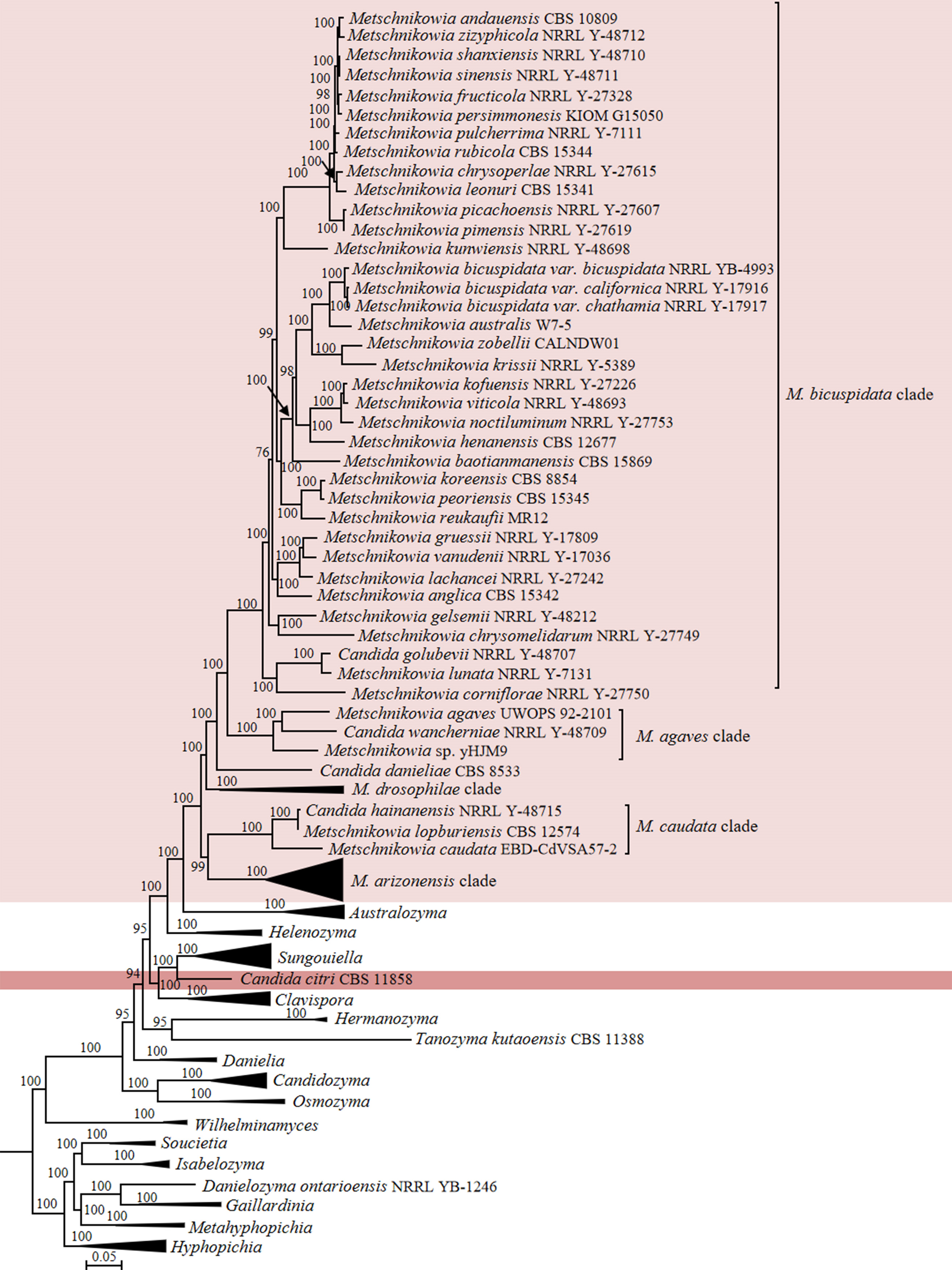 Figure 14